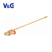 China Manufacturer Durable 3/4 1 inch Brass Vertical Float Valve